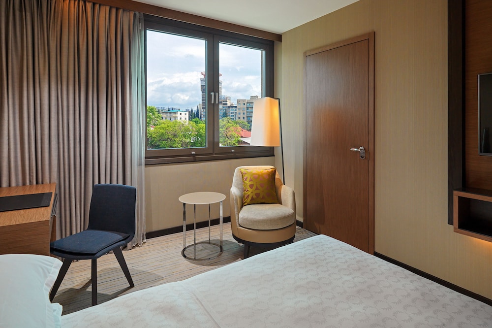 Sheraton Grand Tbilisi Metechi Palace 24/88