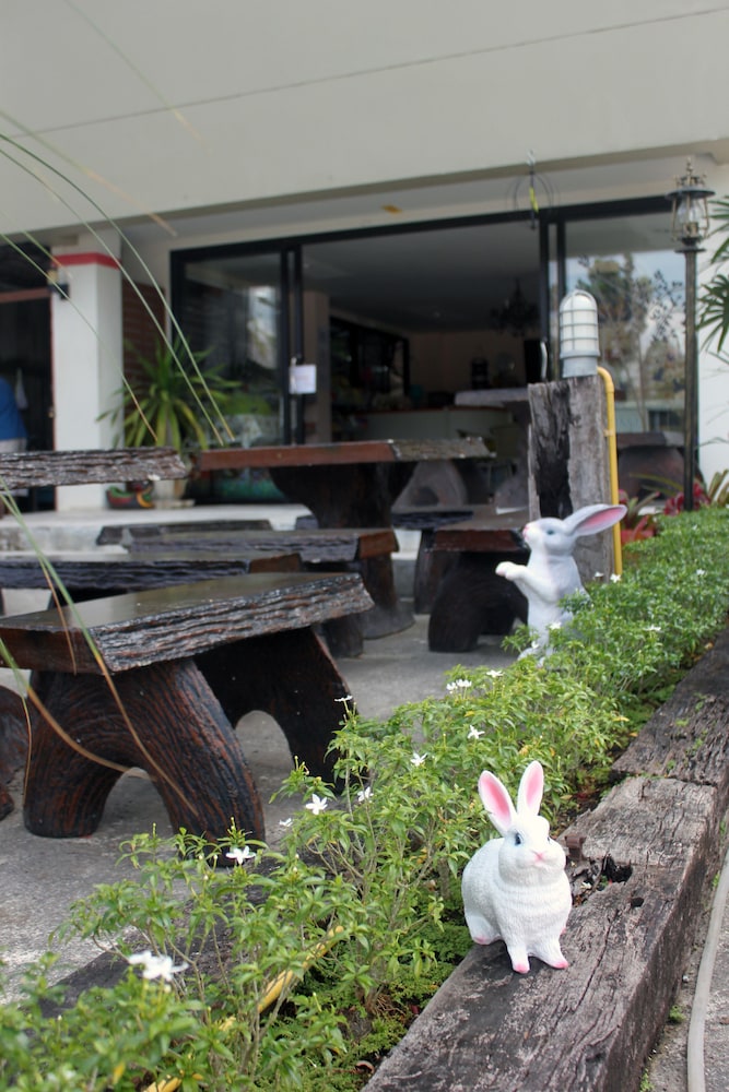 Cozy Rabbit Hotel 6/36