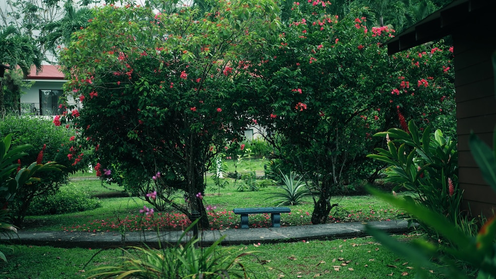 Hotel Eco Arenal 37/50