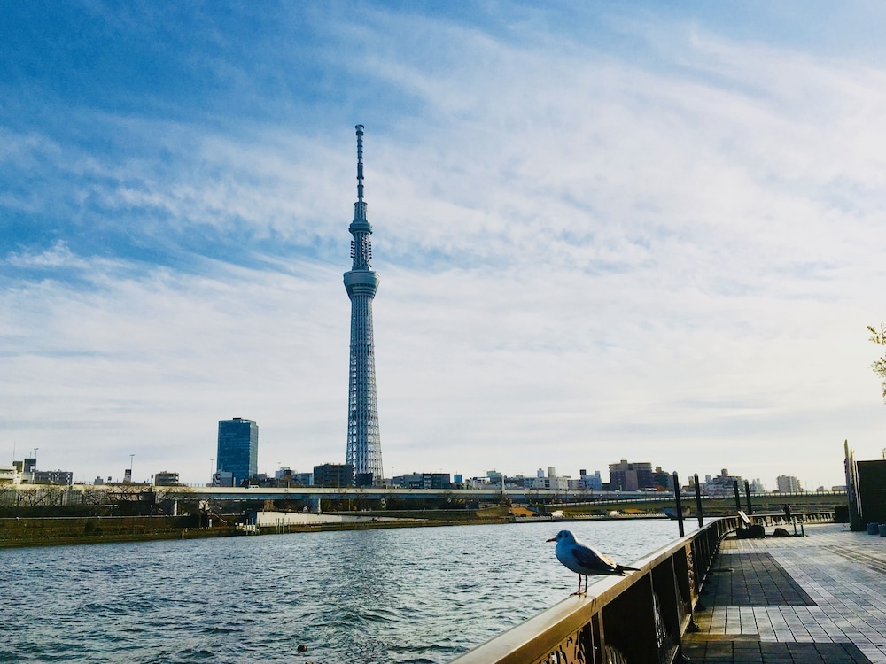 カンガルーホテルサイドB 写真4