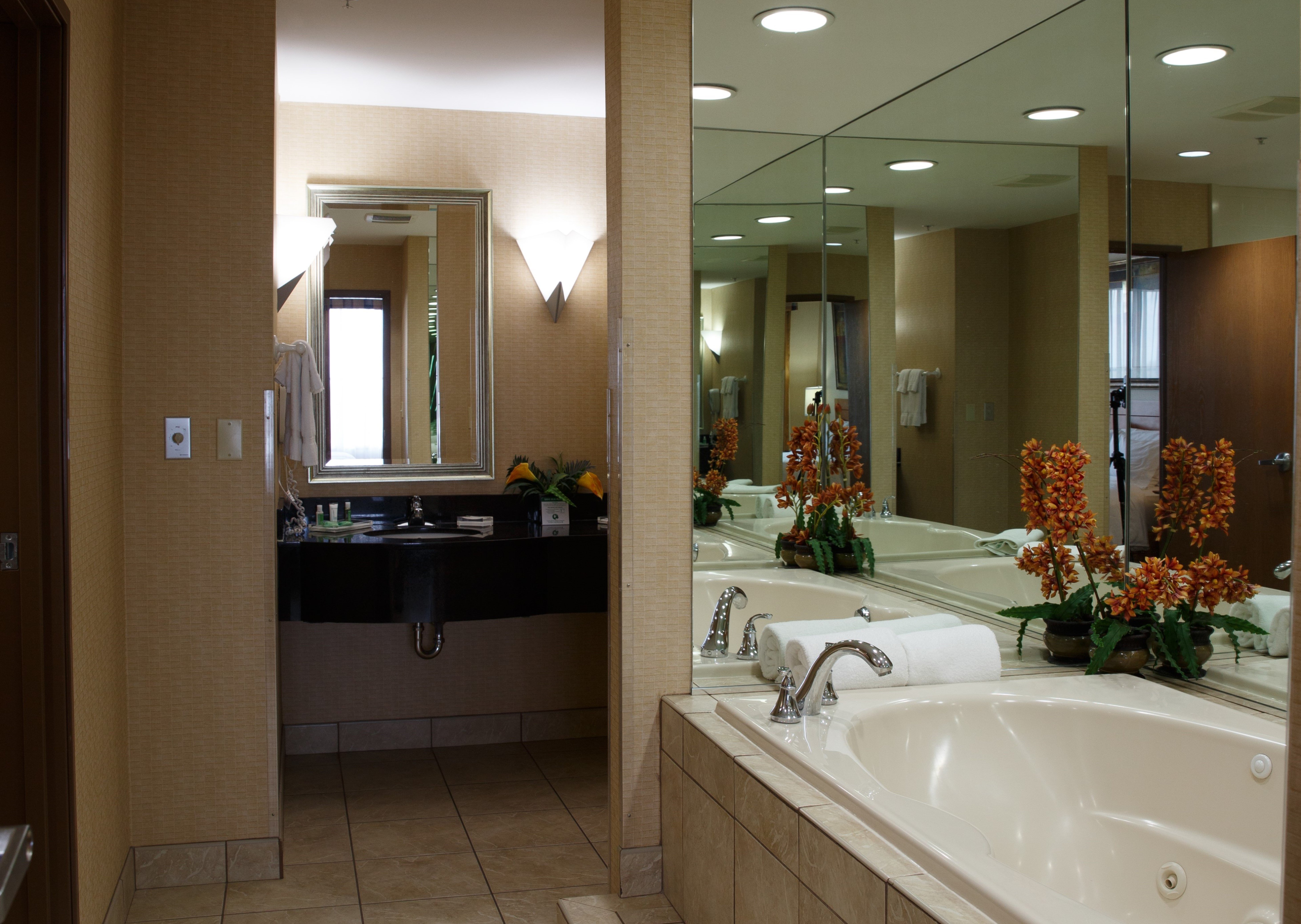 HOLIDAY INN BATTLE CREEK 47/47