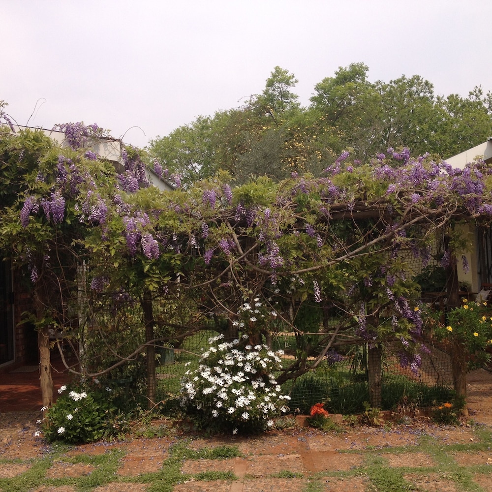 The Nook B&B 29/40