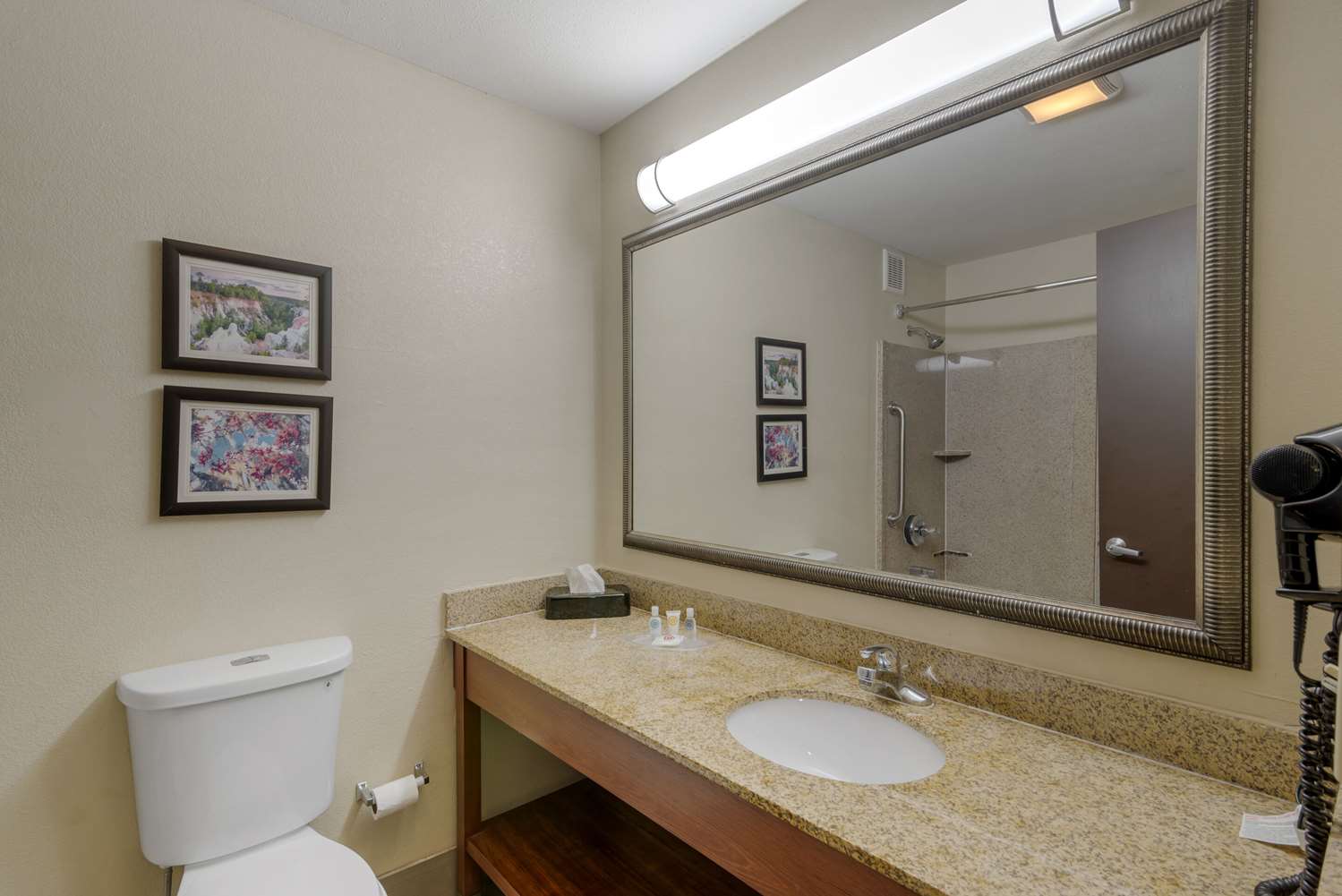 Suite, King Bed