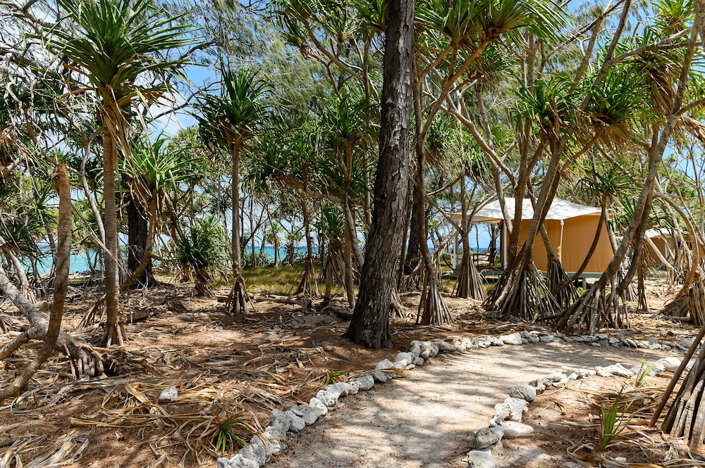 Wilson Island Resort 27/38