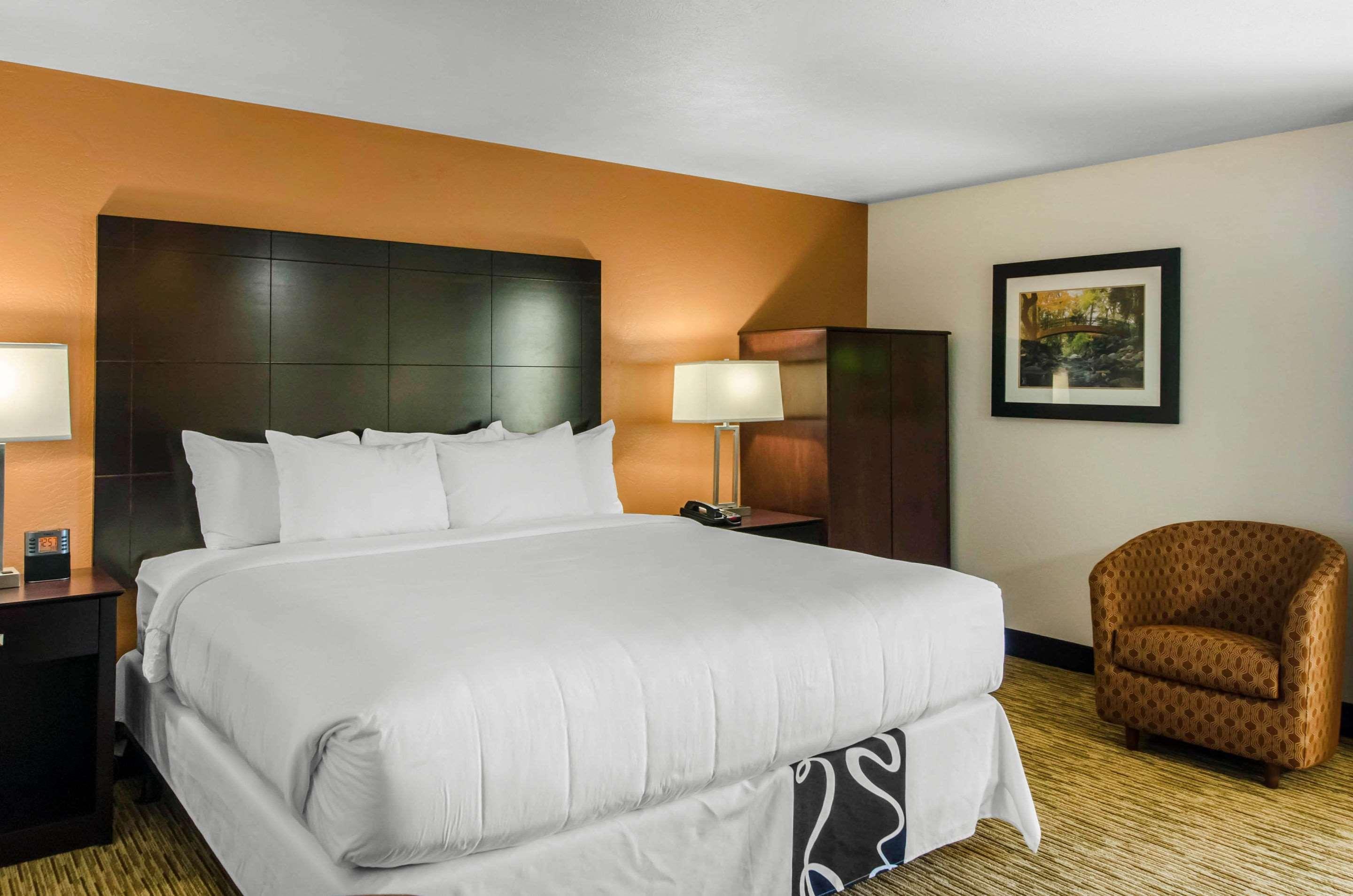 Room, King Bed