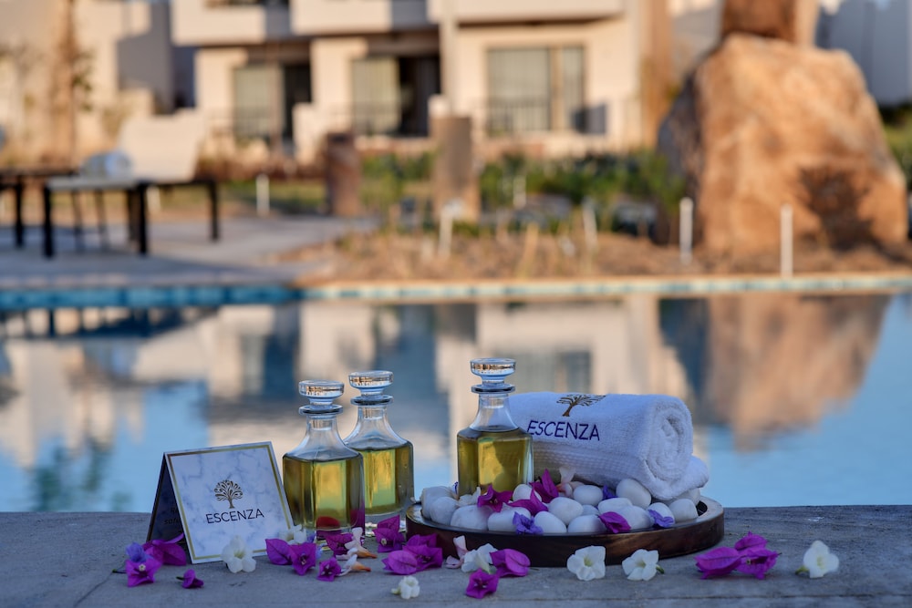 The Fern Sattva Resort, Little Rann of Kutch 45/65