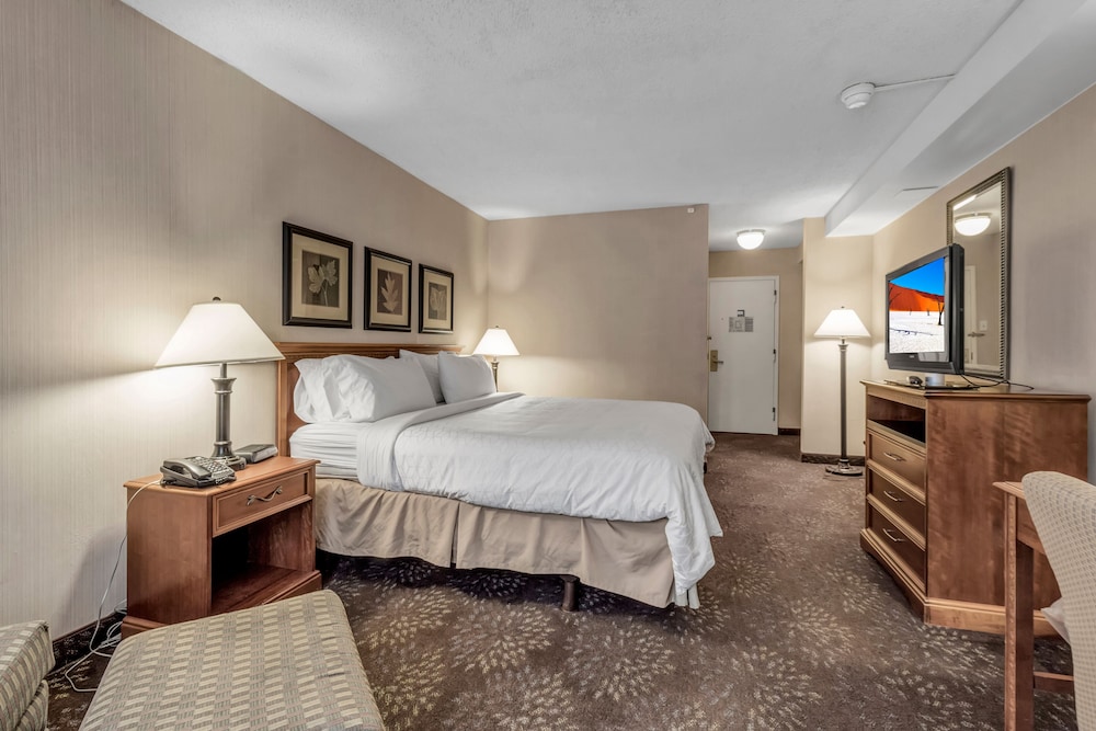 Buffalo Airport Hotel 26/61