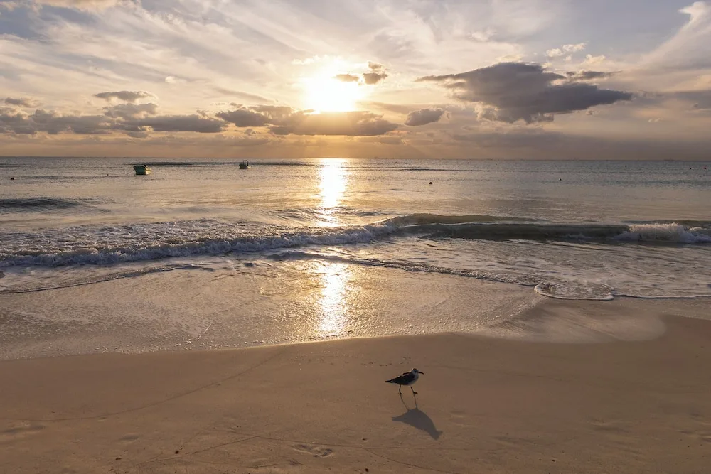 Areia Playa del Carmen-Beach front Hotel 39/50