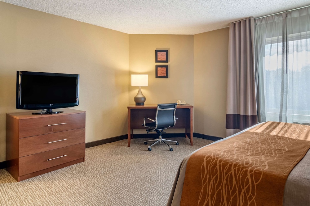 Comfort Inn Suites Suwanee Sugarloaf 14/36