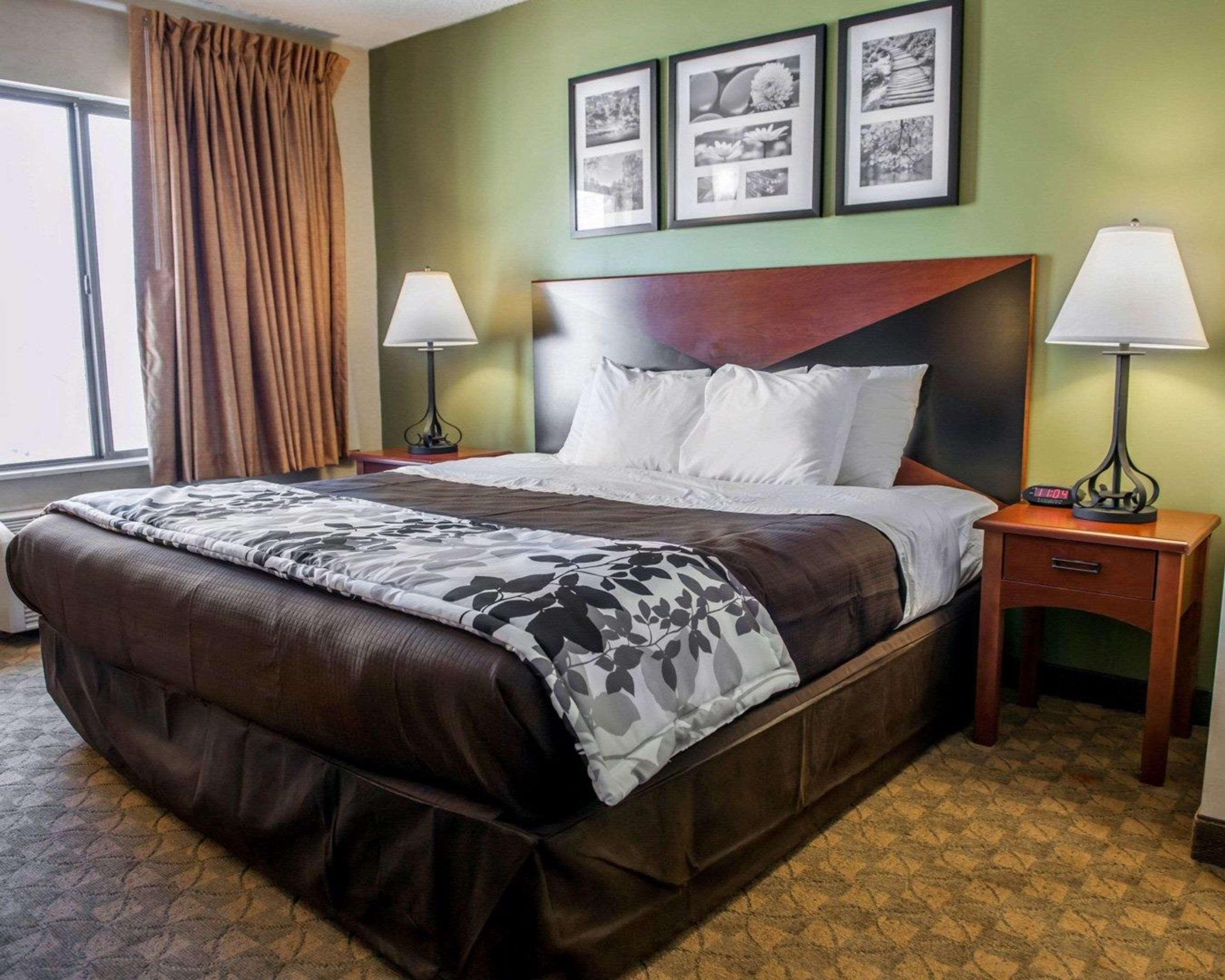 Room, Queen Bed