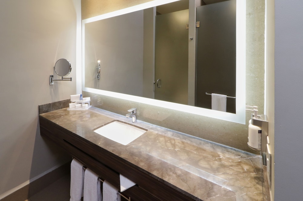 Standard, King Bed, Extra Floor Space, Holiday Inn Express Suites Monterrey Valle 8/10