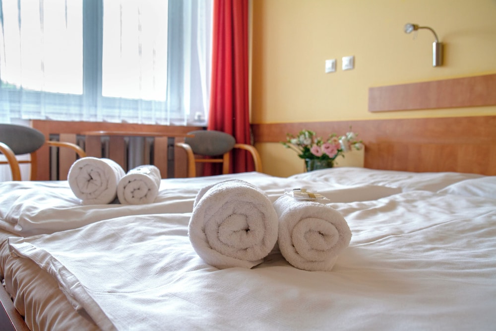 ibis Styles Roznov pod Radhostem 14/45