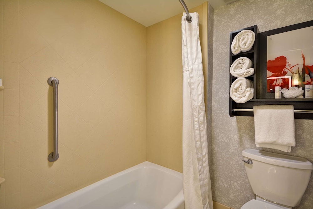 جناح بسرير كينج بغرفة نوم واحدة مع أريكة، Homewood Suites By Hilton Ithaca 3/7