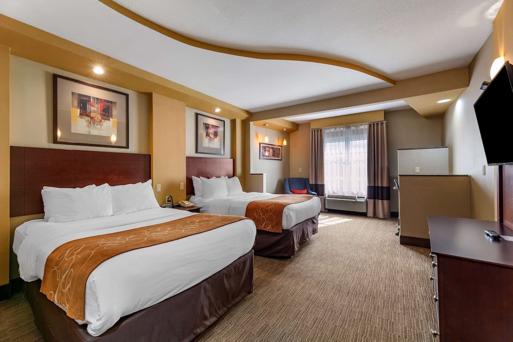 Comfort Suites Perrysburg - Toledo South 15/49