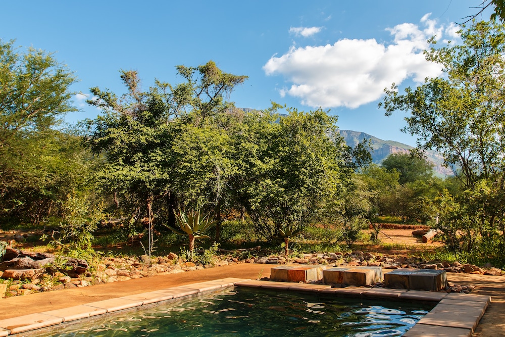 Shikwari Bush Lodge &amp; Pangolin Bush Camp 38/50