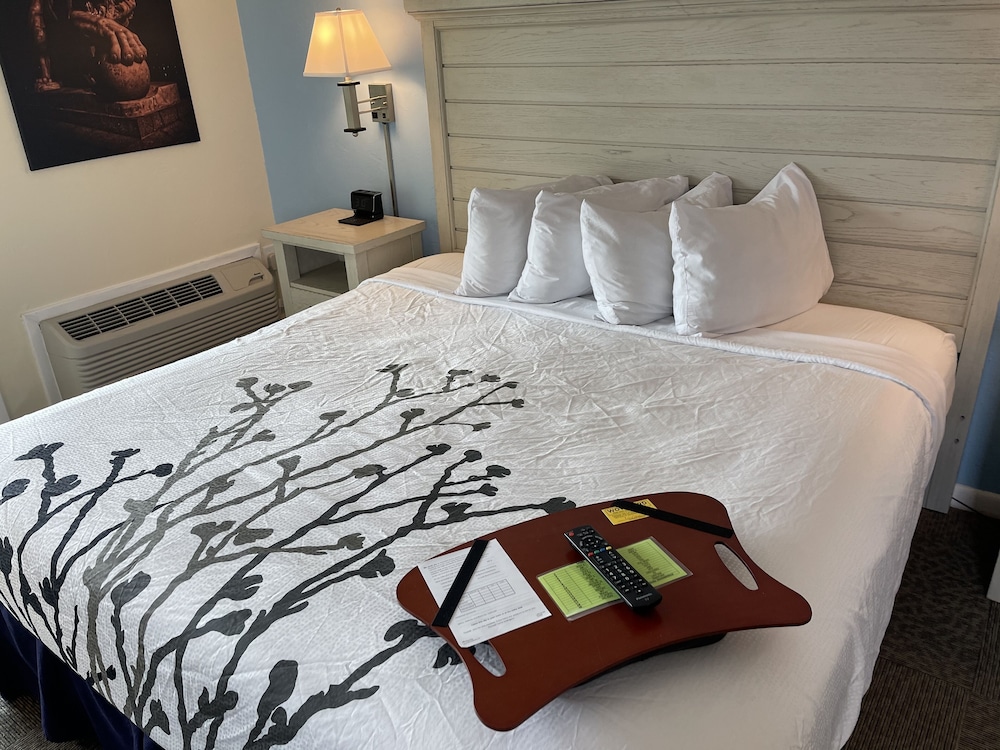 Ocean Sands Beach Inn 20/46