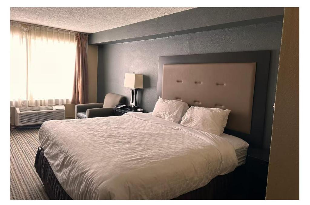 Efficiency, Deluxe, Suite, Queen Bed