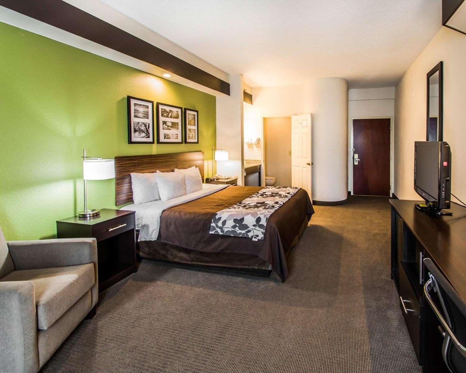 Room, King Bed
