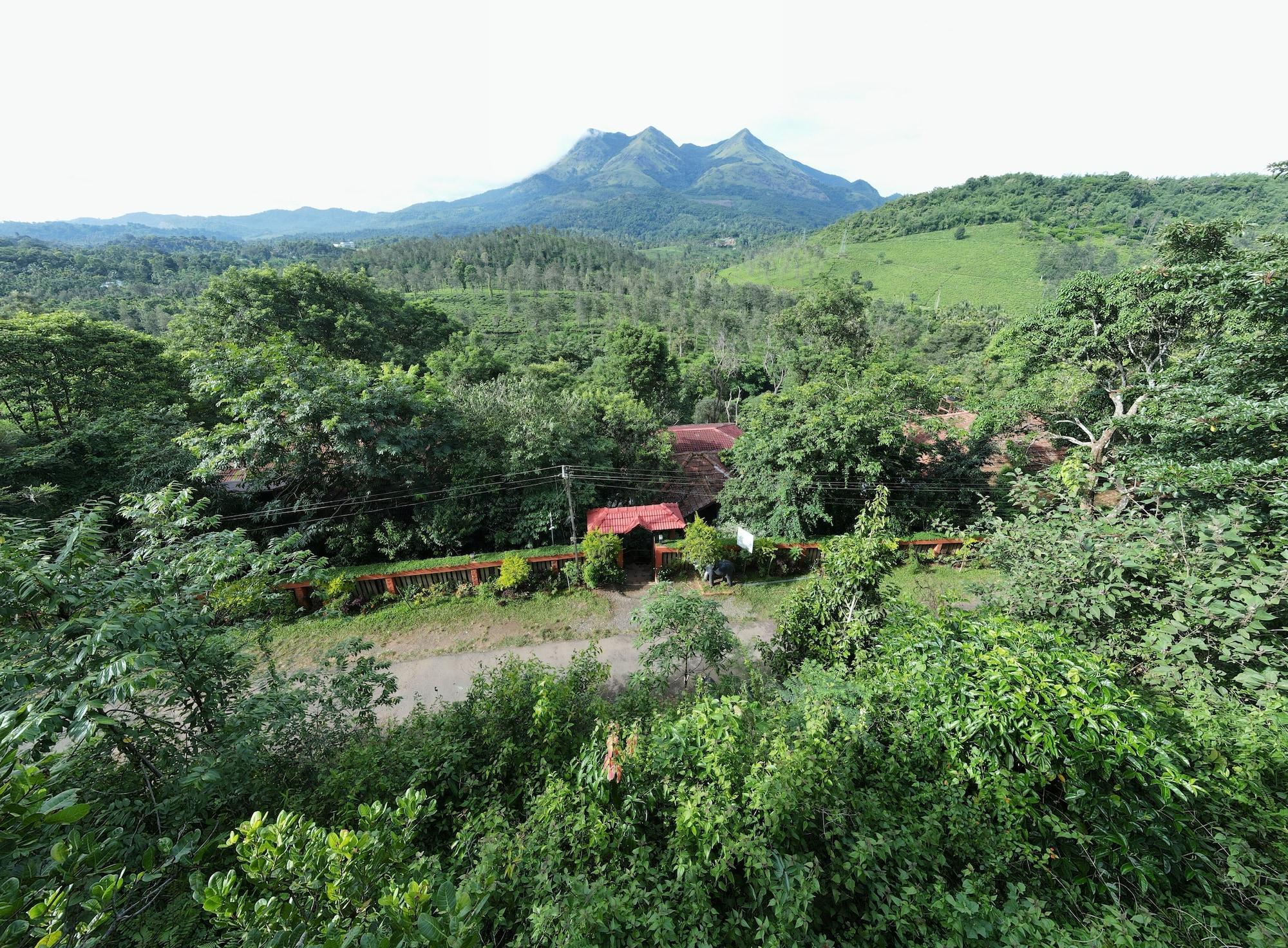 PLANET GREEN PLANTATION RESORTS 49/55