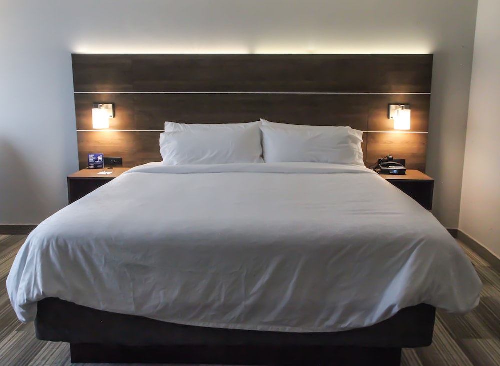 Holiday Inn Express Suites Nashville North Springfield 23/77