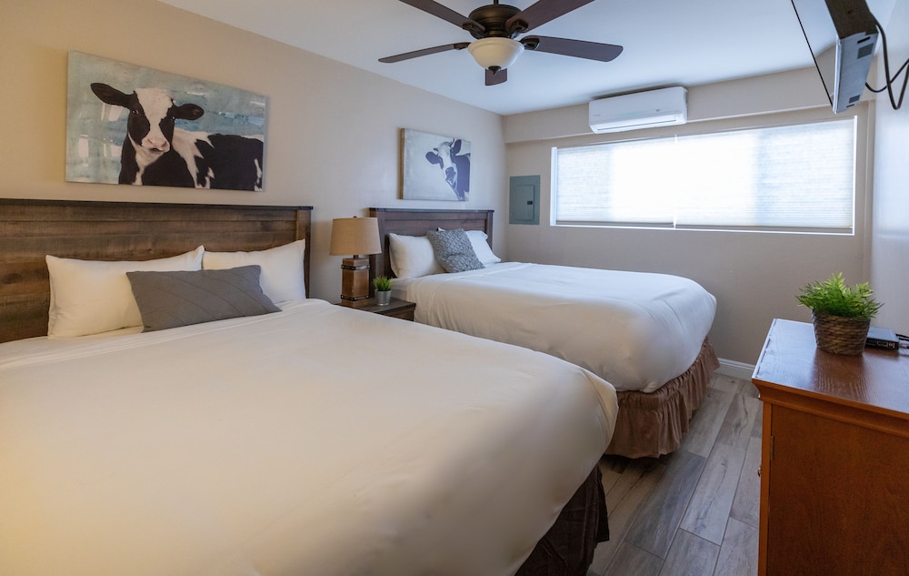 1 Bedroom, Downstairs, Deluxe, Suite, 2 Queen Beds, Kitchen