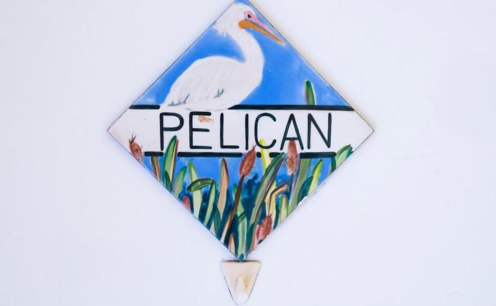 Flamingo Lodge 5/69