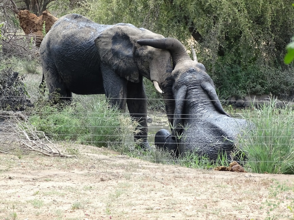 Masodini Private Game Lodge 38/47