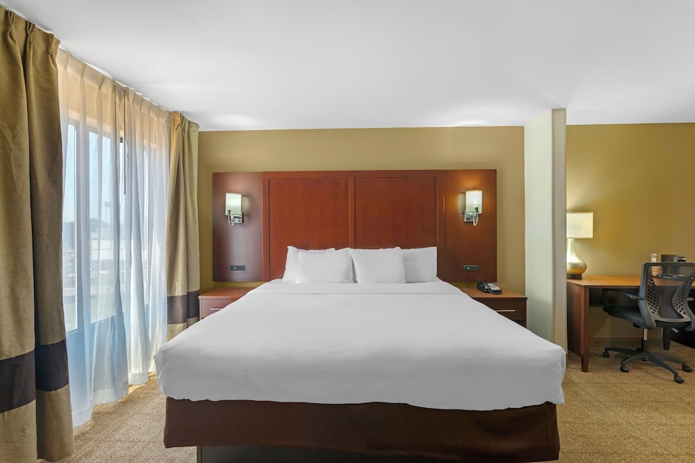 SUITE, KING BED