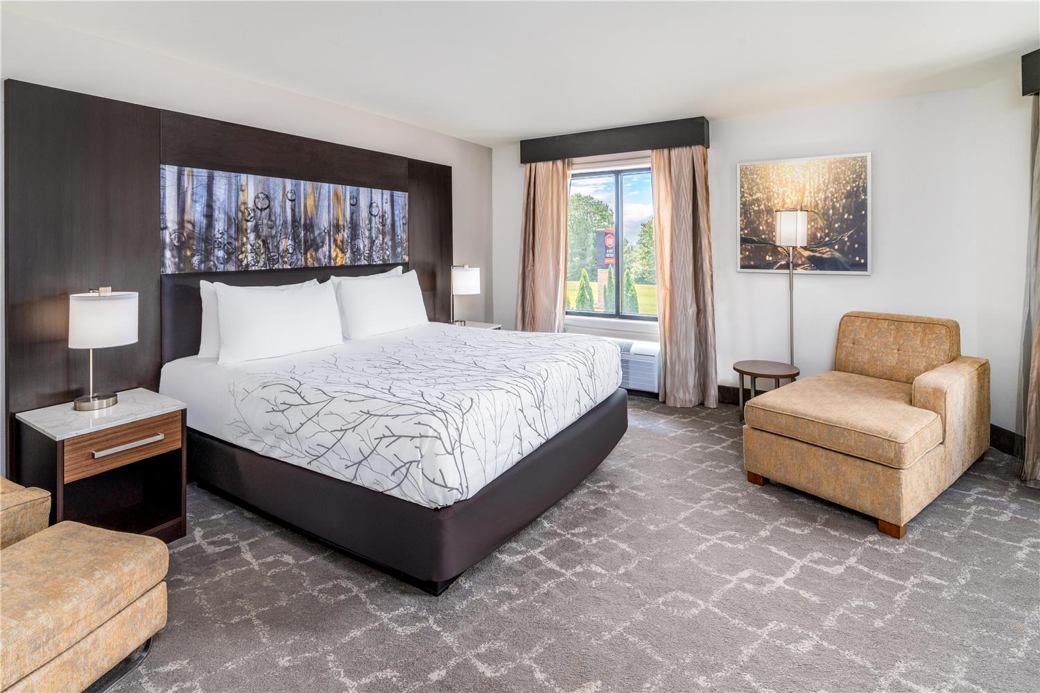 Room, King Bed, Sofa, Large