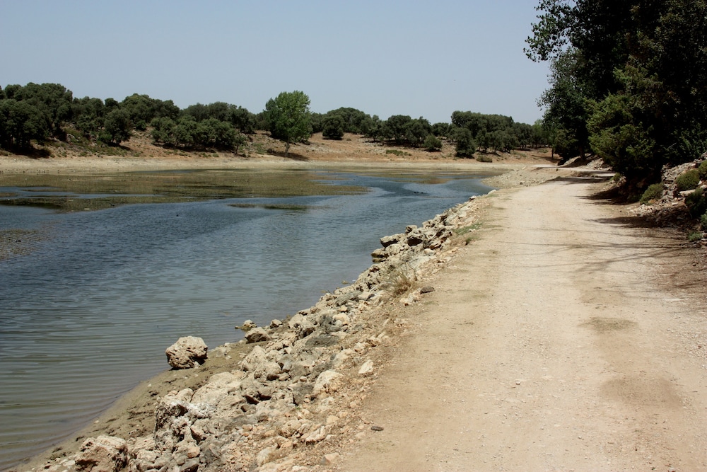 Dar El Bali 36/44