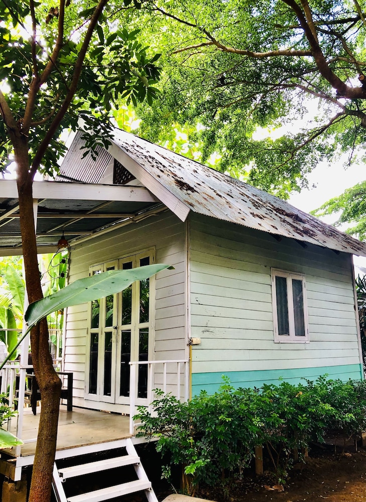 Canary Guesthouse 7/65