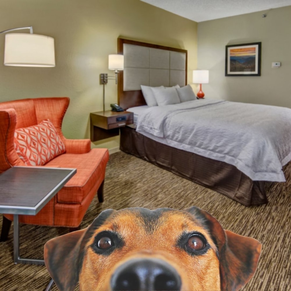 Hampton Inn By Hilton Concord/Kannapolis 12/35