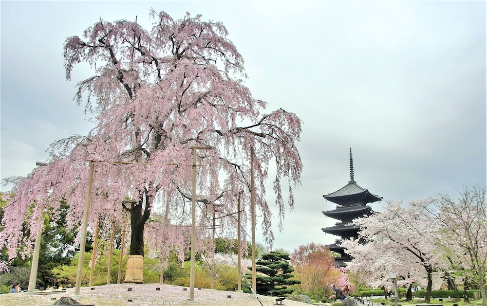 Stay SAKURA Kyoto Higashi Honganji I 45/50