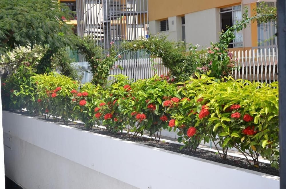Alsol Las Orquideas 41/45