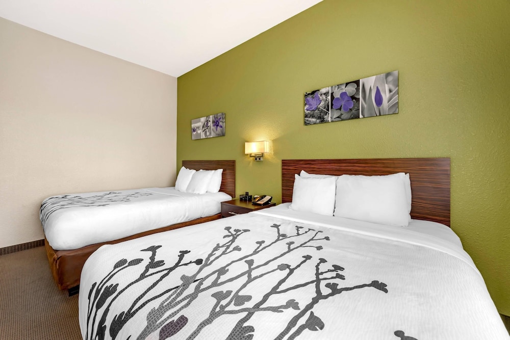Upgrade, 2 Queen Beds