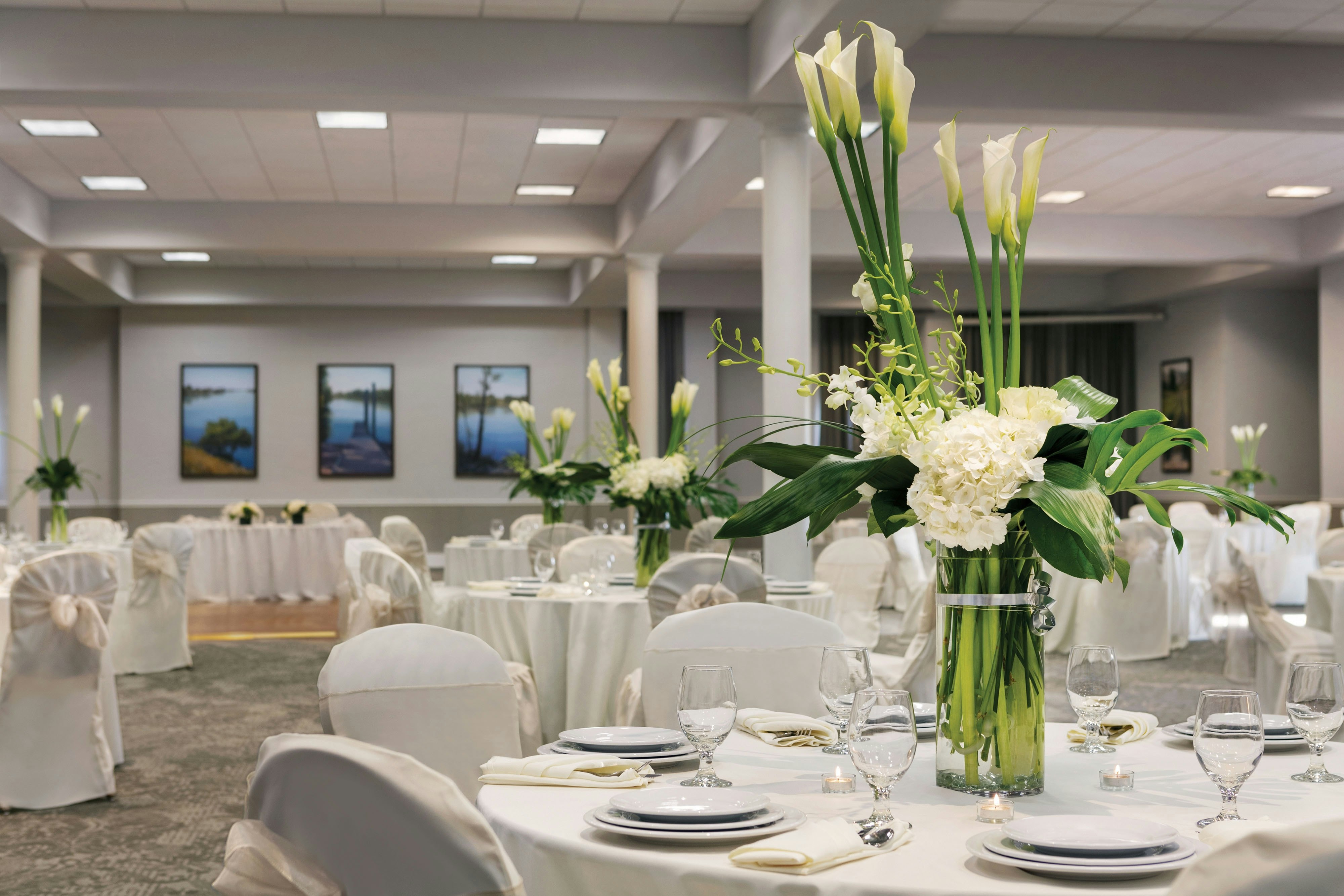 Four Points by Sheraton Sacramento International Airport 27/49