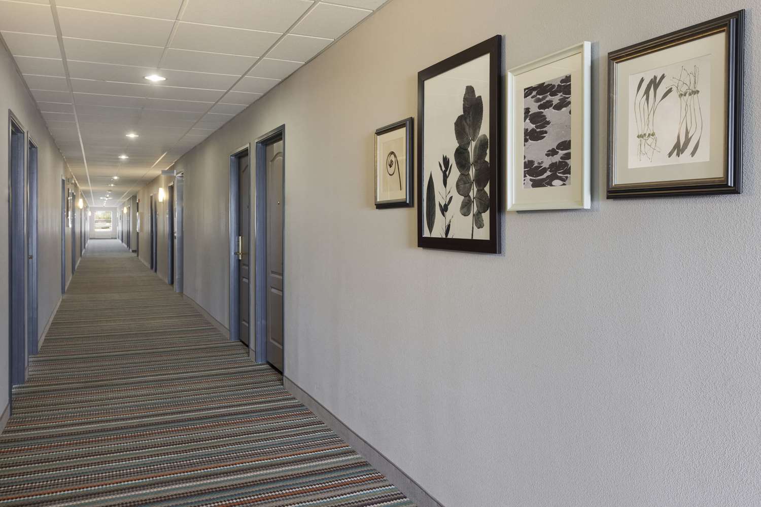 Country Inn Suites By Radisson Harrisonburg Va 5/16
