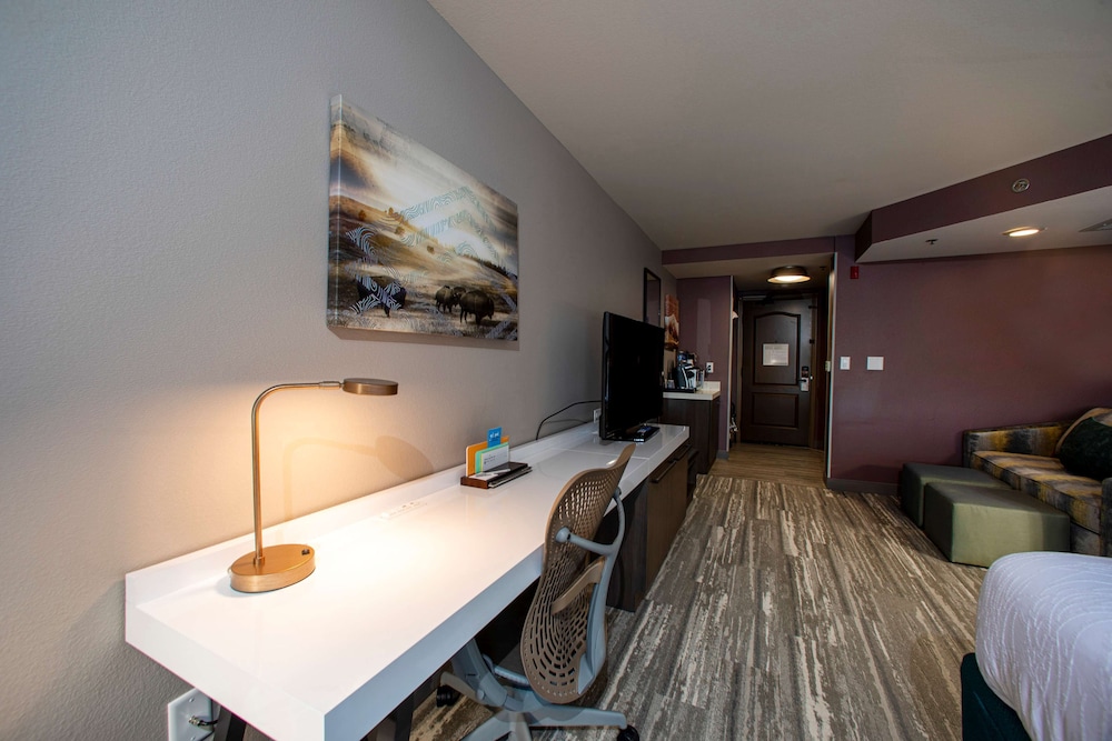 Hilton Garden Inn Rapid City 37/50