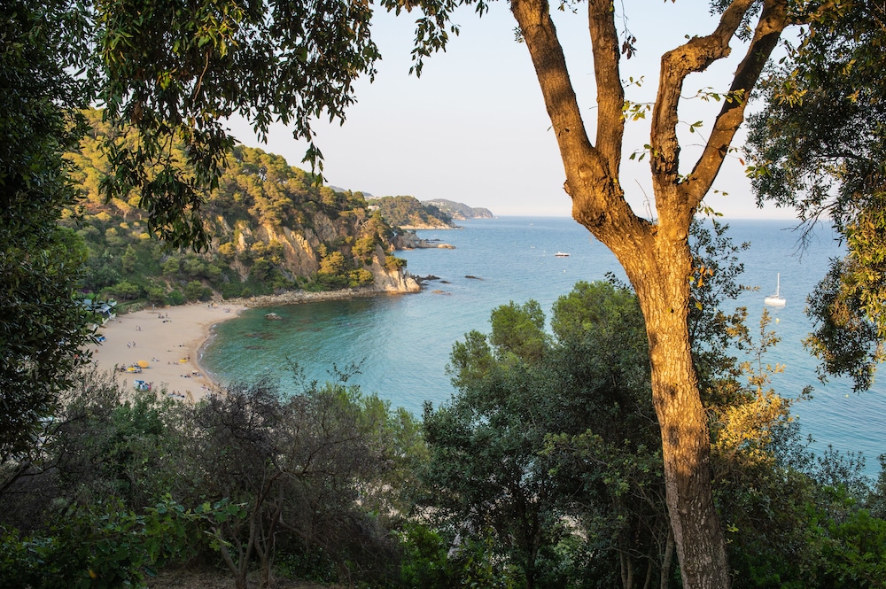 Hotel Lloret Santa Rosa By Pierre Vacances 43/49