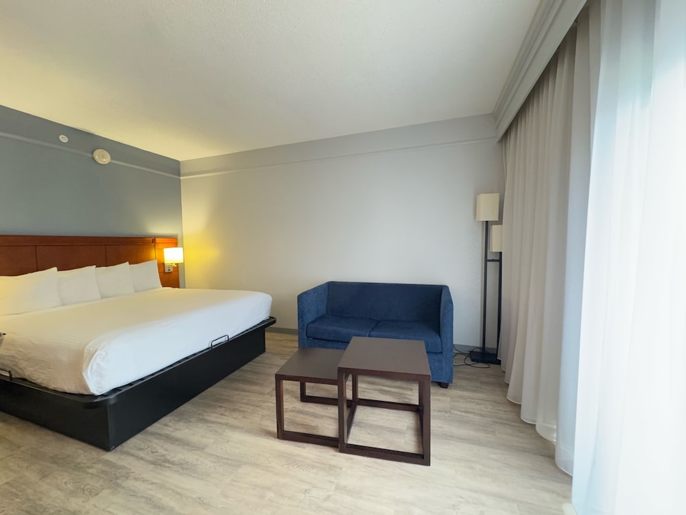 ROOM, KING BED, ACCESSIBLE