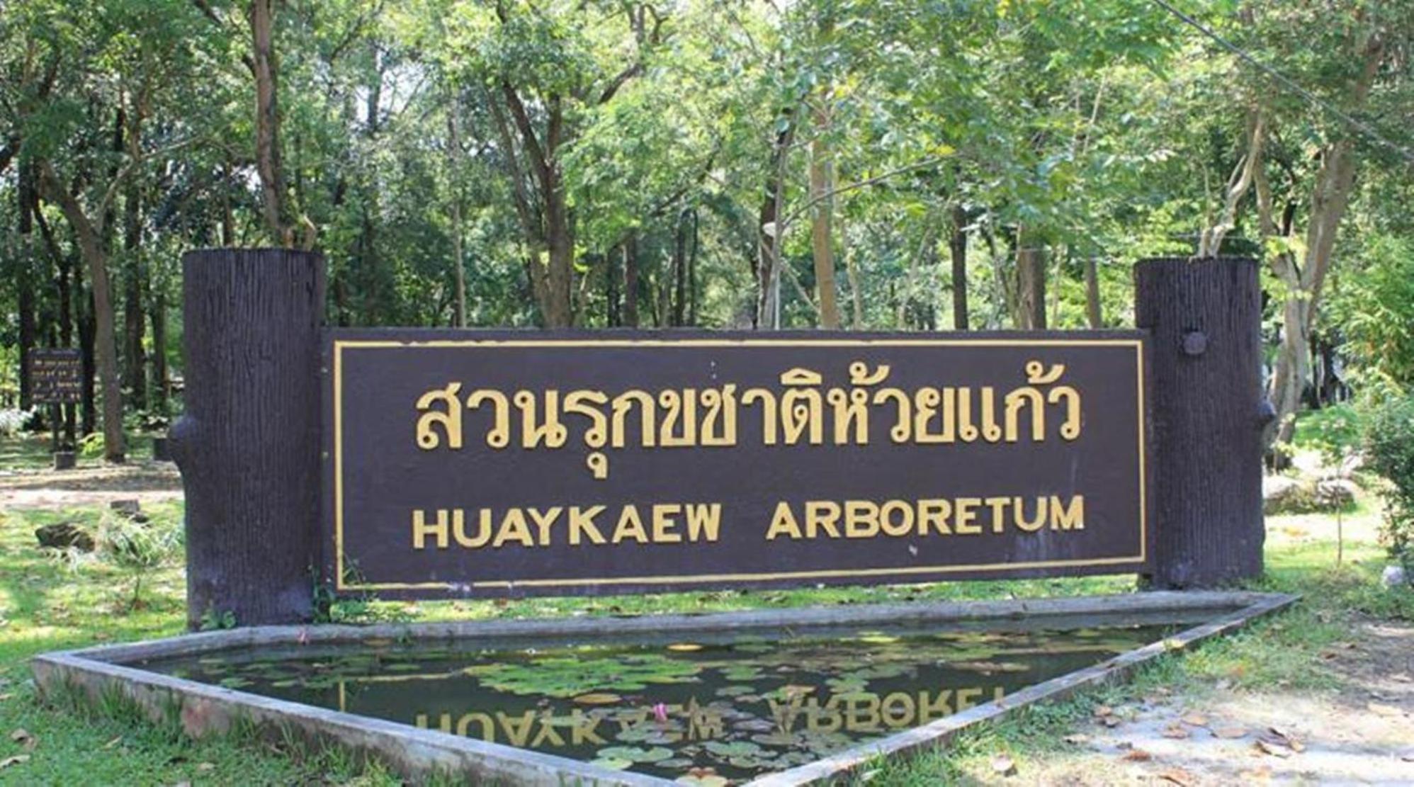 GO INN Chiang Mai University - CMU 3/30