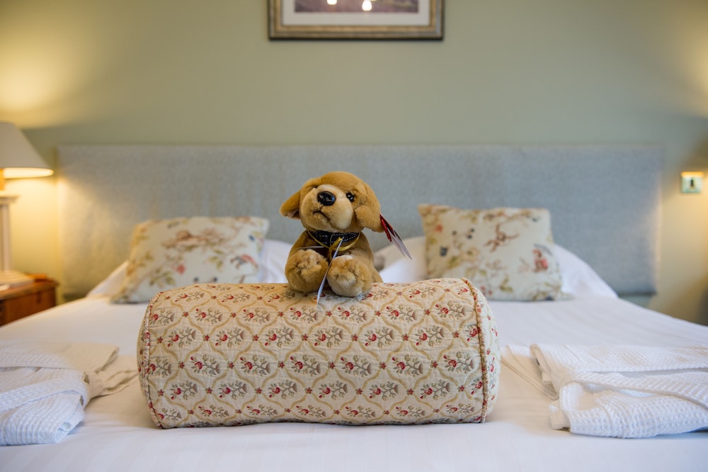 Lake Vyrnwy Hotel And Spa 8/33