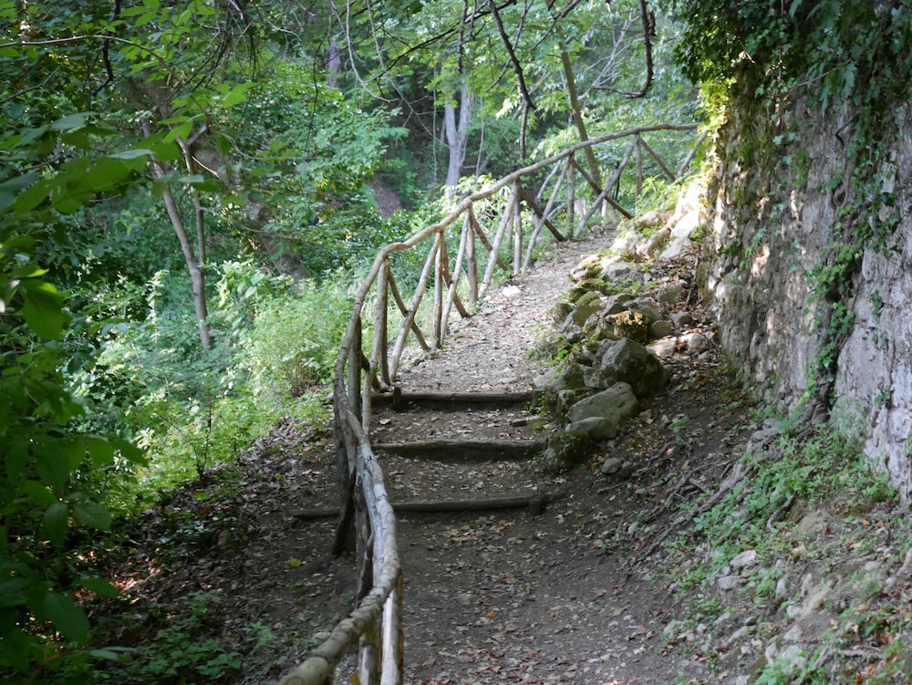 surroundings