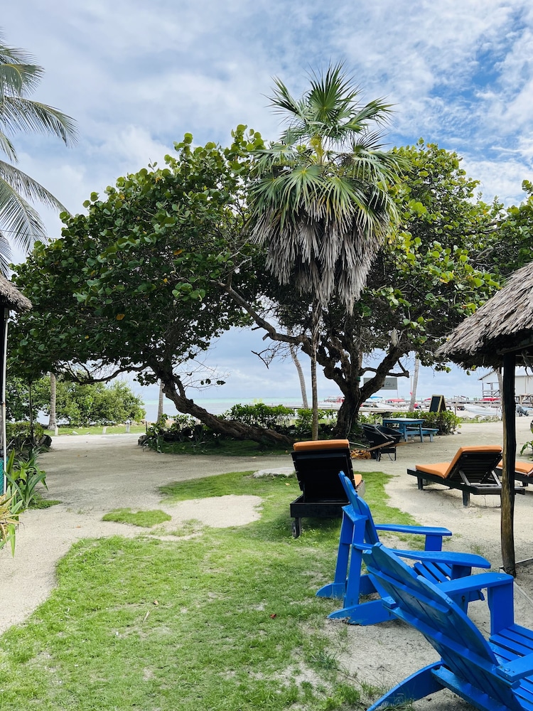 Hotel Del Rio 50/73