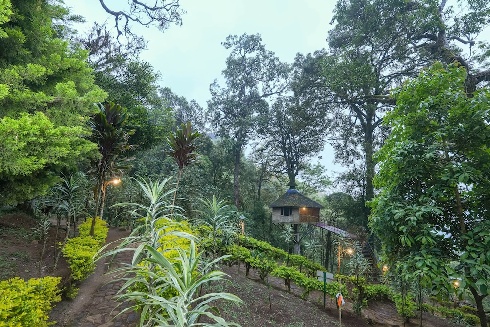 Nature Zone Resort 31/42