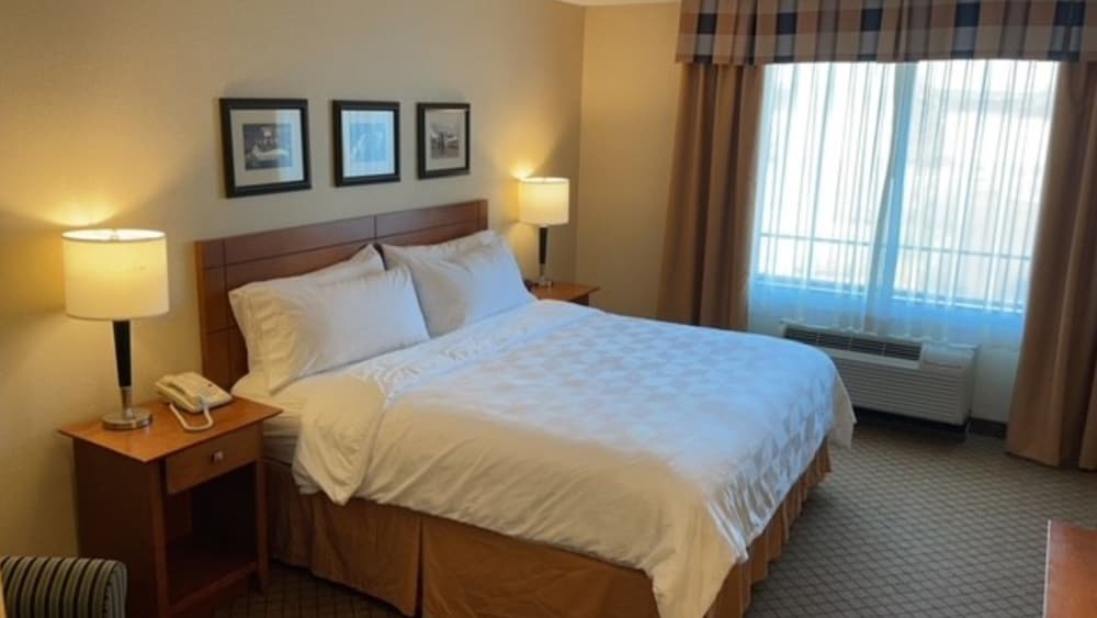 HOLIDAY INN BATTLE CREEK 17/47