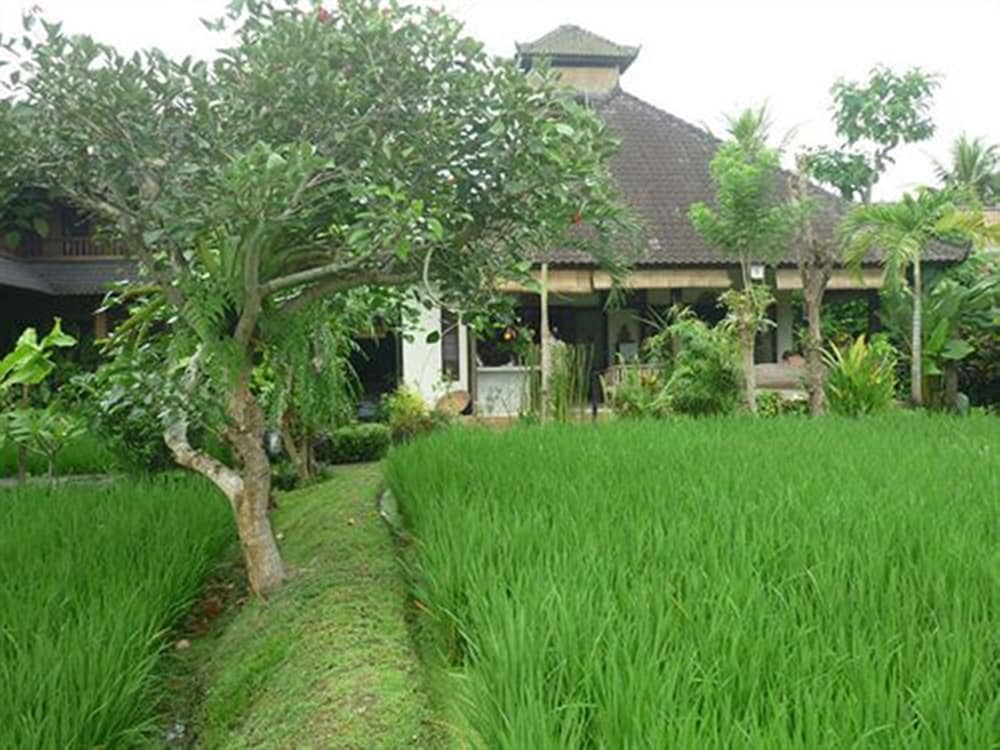 Bliss Ubud Spa Resort 58/71