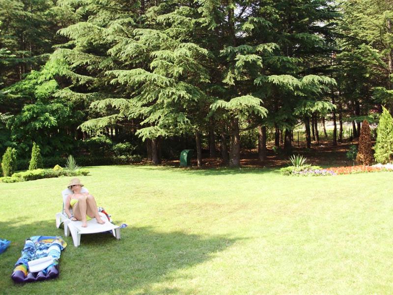 Hotel Dunav- All Inclusive 45/50