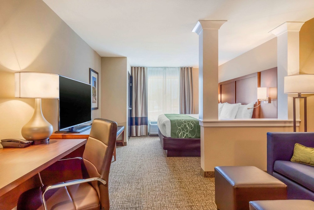 Comfort Inn Suites Schenectady - Scotia 35/44