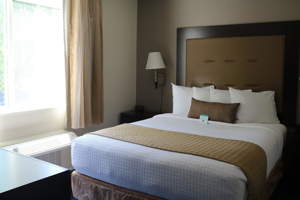 Suite, King and Queen Bed